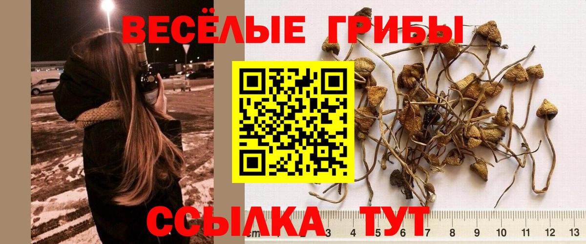 Среднеуральск  Галлюциногенные грибы Cubensis  где найти   Вход с VPN 